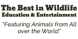 The Best in Wildlife Education and Entertainment
